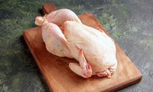 daging ayam